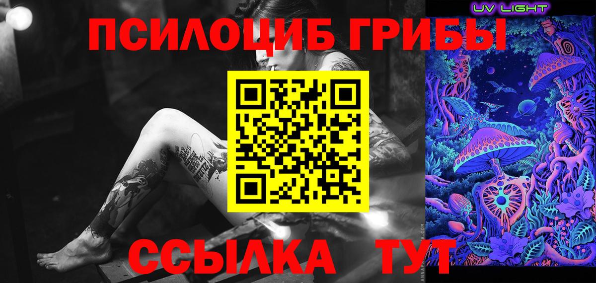 Новоалександровск  Галлюциногенные грибы GOLDEN TEACHER  Вход с VPN 